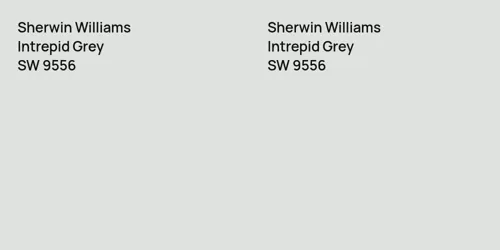 SW 9556 Intrepid Grey vs SW 9556 Intrepid Grey