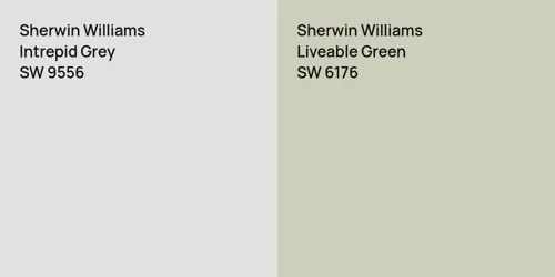 SW 9556 Intrepid Grey vs SW 6176 Liveable Green