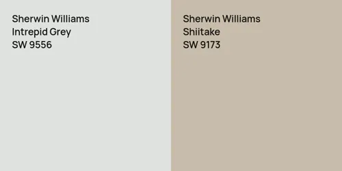 SW 9556 Intrepid Grey vs SW 9173 Shiitake