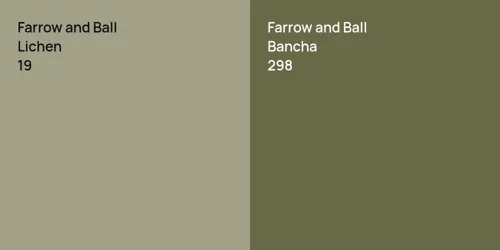 19 Lichen vs 298 Bancha