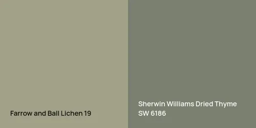 19 Lichen vs SW 6186 Dried Thyme