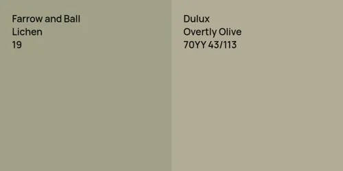 19 Lichen vs 70YY 43/113 Overtly Olive