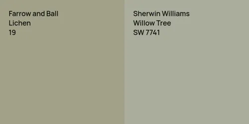 19 Lichen vs SW 7741 Willow Tree