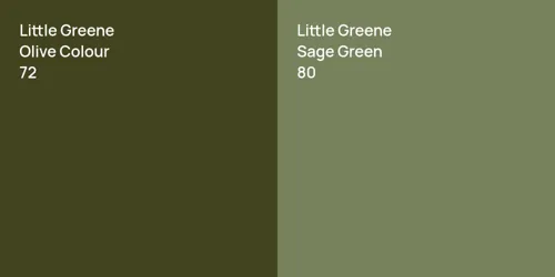 72 Olive Colour vs 80 Sage Green