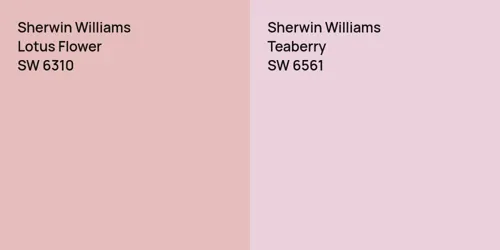 SW 6310 Lotus Flower vs SW 6561 Teaberry