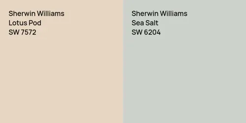 SW 7572 Lotus Pod vs SW 6204 Sea Salt