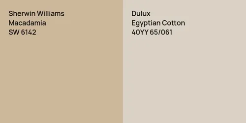 SW 6142 Macadamia vs 40YY 65/061 Egyptian Cotton