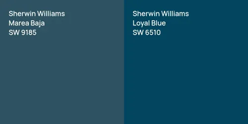 SW 9185 Marea Baja vs SW 6510 Loyal Blue