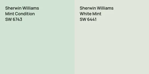 SW 6743 Mint Condition vs SW 6441 White Mint