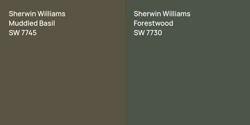 SW 7745 Muddled Basil vs SW 7730 Forestwood