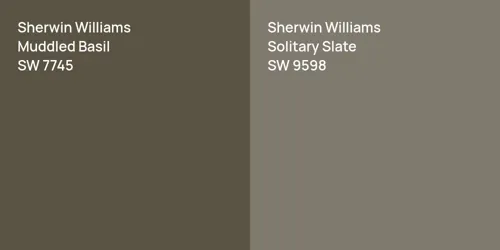 SW 7745 Muddled Basil vs SW 9598 Solitary Slate