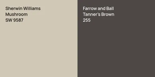 SW 9587 Mushroom vs 255 Tanner's Brown