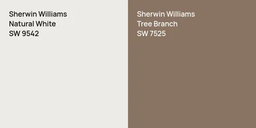 SW 9542 Natural White vs SW 7525 Tree Branch