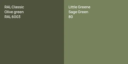 RAL 6003  Olive green vs 80 Sage Green