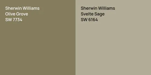 SW 7734 Olive Grove vs SW 6164 Svelte Sage