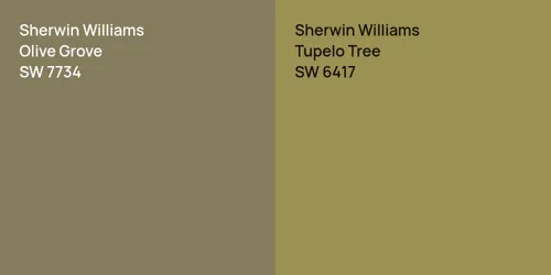 SW 7734 Olive Grove vs SW 6417 Tupelo Tree