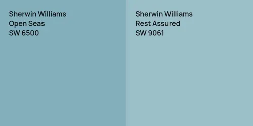 SW 6500 Open Seas vs SW 9061 Rest Assured