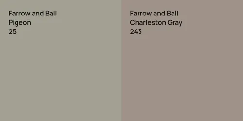 25 Pigeon vs 243 Charleston Gray