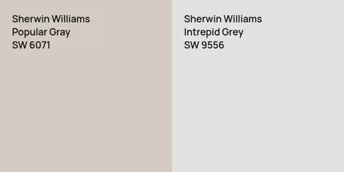 SW 6071 Popular Gray vs SW 9556 Intrepid Grey