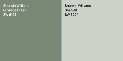 SW 6193 Privilege Green vs SW 6204 Sea Salt