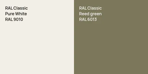 RAL 9010 Pure White vs RAL 6013  Reed green