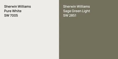 SW 7005 Pure White vs SW 2851 Sage Green Light