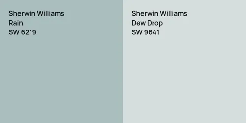 SW 6219 Rain vs SW 9641 Dew Drop