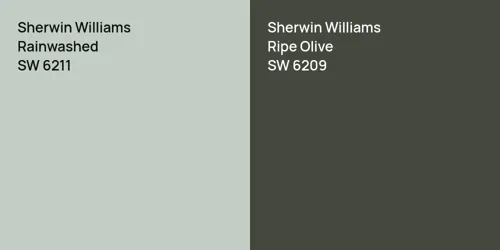 SW 6211 Rainwashed vs SW 6209 Ripe Olive