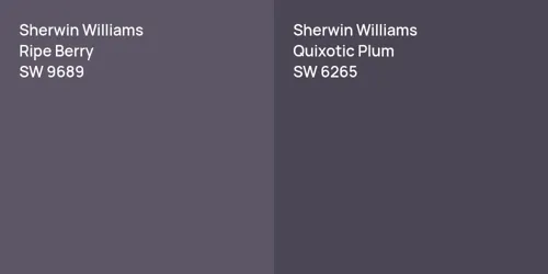 SW 9689 Ripe Berry vs SW 6265 Quixotic Plum