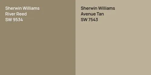 SW 9534 River Reed vs SW 7543 Avenue Tan