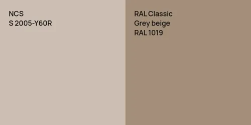 S 2005-Y60R  vs RAL 1019  Grey beige