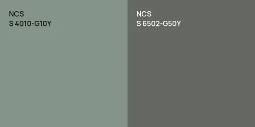 NCS S 4010-G10Y vs. NCS S 4005-G50Y comparison