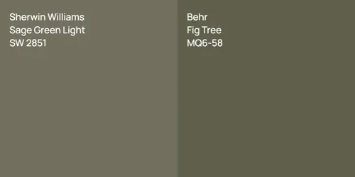 SW 2851 Sage Green Light vs MQ6-58 Fig Tree