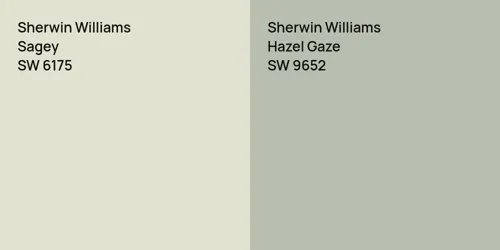 SW 6175 Sagey vs SW 9652 Hazel Gaze