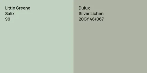 99 Salix vs 20GY 46/067 Silver Lichen