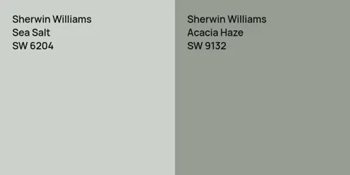 SW 6204 Sea Salt vs SW 9132 Acacia Haze