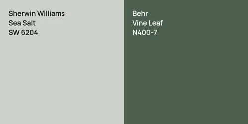 SW 6204 Sea Salt vs N400-7 Vine Leaf