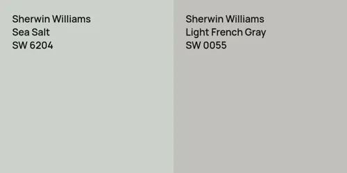 SW 6204 Sea Salt vs SW 0055 Light French Gray