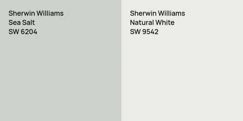 SW 6204 Sea Salt vs SW 9542 Natural White