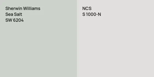 SW 6204 Sea Salt vs S 1000-N 