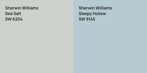 SW 6204 Sea Salt vs SW 9145 Sleepy Hollow