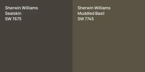 SW 7675 Sealskin vs SW 7745 Muddled Basil