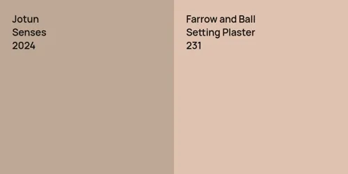 2024 Senses vs 231 Setting Plaster