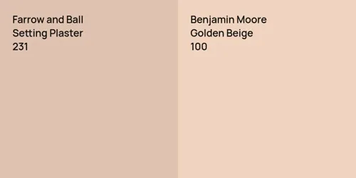 231 Setting Plaster vs 100 Golden Beige