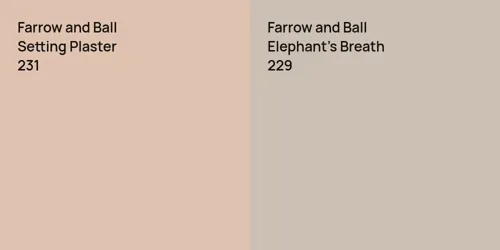 231 Setting Plaster vs 229 Elephant's Breath