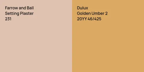 231 Setting Plaster vs 20YY 46/425 Golden Umber 2