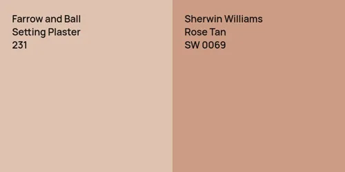 231 Setting Plaster vs SW 0069 Rose Tan