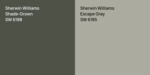 SW 6188 Shade-Grown vs SW 6185 Escape Gray