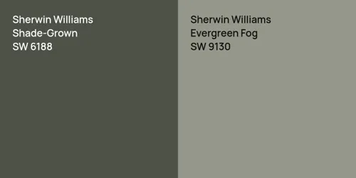 SW 6188 Shade-Grown vs SW 9130 Evergreen Fog