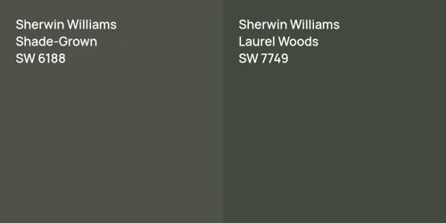 SW 6188 Shade-Grown vs SW 7749 Laurel Woods